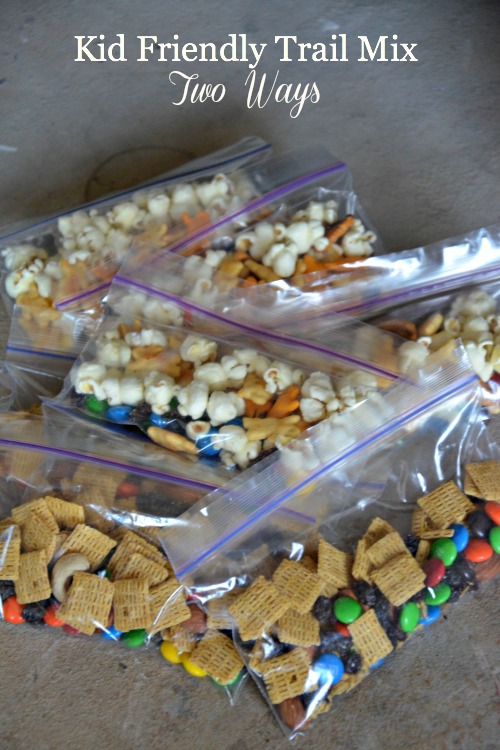 Kid Friendly Trail Mix Recipe