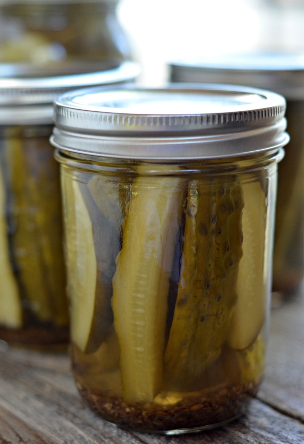 Perfect Dill Pickles Mountain Mama Cooks