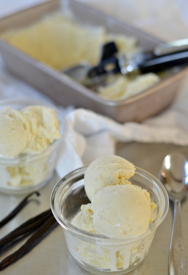 vanilla bean ice cream