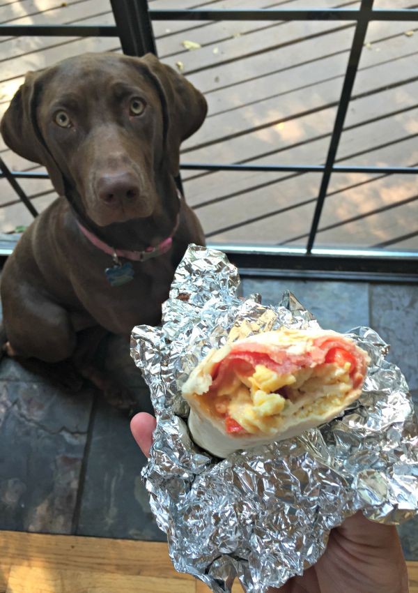 Denver Omelet Breakfast Burritos | mountainmamacooks.com