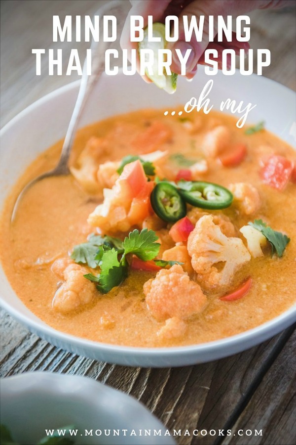 Thai Curry Veggie Soup - Mountain Mama Cooks